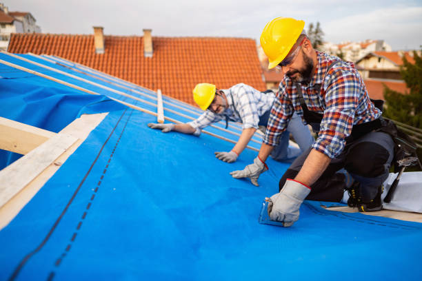 Best Roof Gutter Cleaning  in Mianna, AR